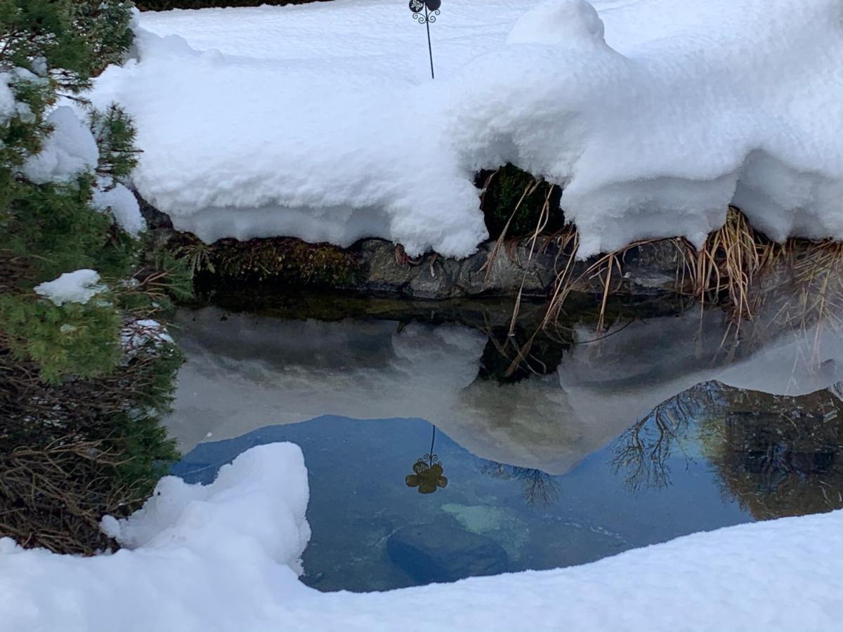 B&B Cuore Verde Poschiavo Kültér fotó